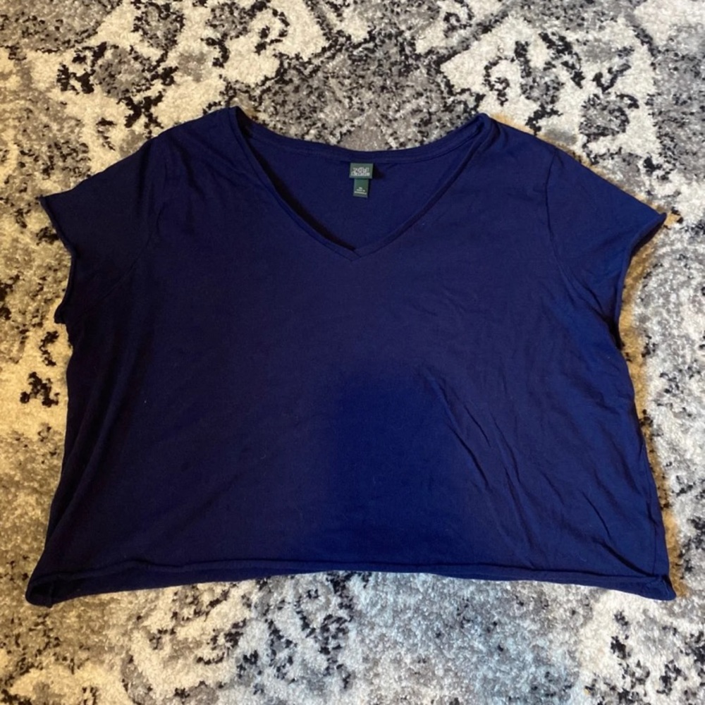 4/25$ Wild Fable XL V Neck Raw Hem Cropped Tee